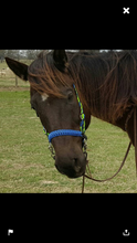 Royal blue side pull hackamore  bitless attachment.... with black or  brown chinstrap...all sizes