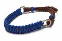 Royal blue side pull hackamore  bitless attachment.... with black or  brown chinstrap...all sizes