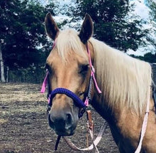 Purple side pull hackamore  bitless attachment “with a whoa”.... with black or  brown chinstrap...all sizes