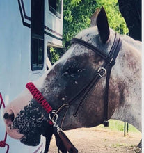 Side pull hackamore "with a whoa" bitless attachment.... black with  brown chinstrap...all sizes