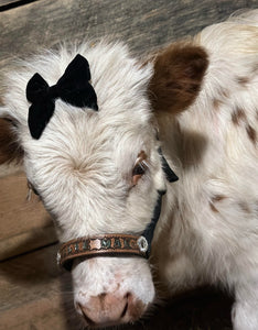 Personalized mini cow halter small mini cow or calf