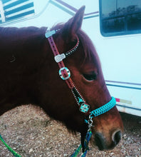side pull hackamore "with a whoa" bitless attachment.... neon turquoise with brown chinstrap...all sizes