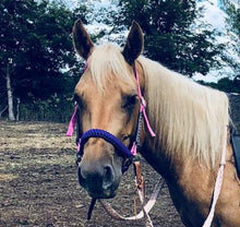 side pull hackamore  bitless attachment purple.... with black or brown chinstrap...all sizes.