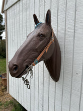 Teal leather tack set one ear and tripping collar