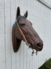 Teal leather tack set one ear and tripping collar