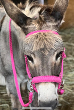 complete bitless bridle side pull hackamore hot pink ....pony, Cob, Horse. or Draft horse size.