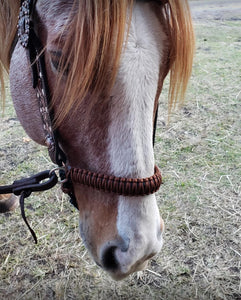 Brown and black side pull hackamore  bitless attachment.... with black or  brown chinstrap...all sizes