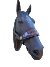 Personalized   Dragon bronc noseband nylon horse halter
