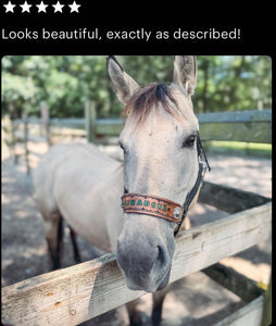 PERSONALIZED black nylon horse halter