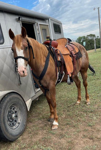 Mule tape pulling collar….breast collar