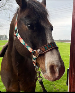 PERSONALIZED aztec print nylon horse halter