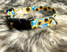 Blue sunflower Nylon dog collar
