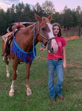 fringe breast collar purple, royal, and turquoise