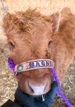 Personalized cow halter small mini cow or large cow purple - Tiffanys Braided Tack LLC