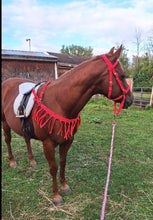 complete Bitless bridle cross under style braided from mule tape