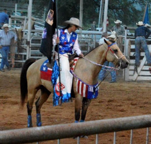 Patriotic tack set all sizes