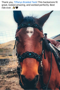 complete Bitless bridle side pull hackamore in my beaded  style