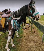 Green turquoise side pull hackamore  bitless attachment.... with black or  brown chinstrap...all sizes