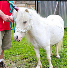 Braided horse halter white