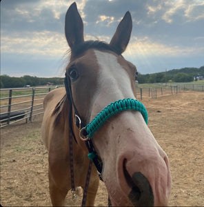 Green turquoise side pull hackamore  bitless attachment “with a whoa”.... with black or  brown chinstrap...all sizes