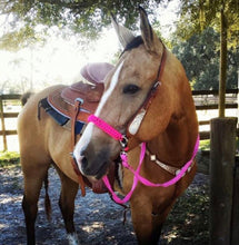 Hot pink side pull hackamore  bitless attachment.... with black or  brown chinstrap...all sizes