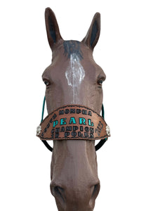 Custom award bronc noseband nylon horse halter
