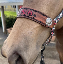 PERSONALIZED Vegas Gambler nylon horse halter