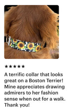 Cow sunflower Nylon dog collar