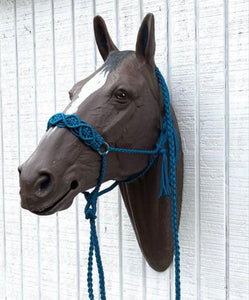 Braided horse halter white with lead rope