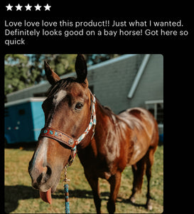 PERSONALIZED aztec print nylon horse halter