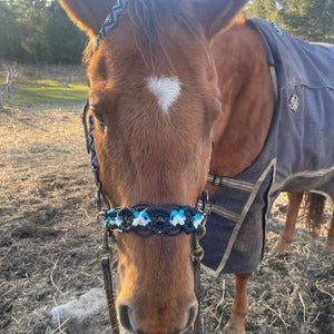 Side Pull Hackamore with a fancy noseband bitless attachment all sizes black white and neon turquoise