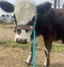 Personalized cow halter large cow or mini cow size green turquoise