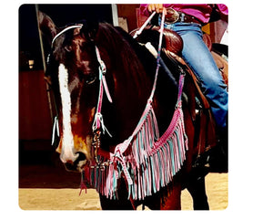 average fringe horse tack set breast collar and reins