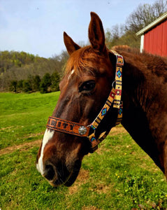 PERSONALIZED tan tribal nylon horse halter