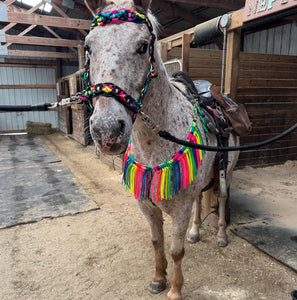 Rainbow fringe breast collar with wither strap.