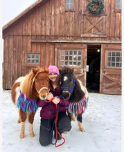 Pony Tripping collar red white and blue