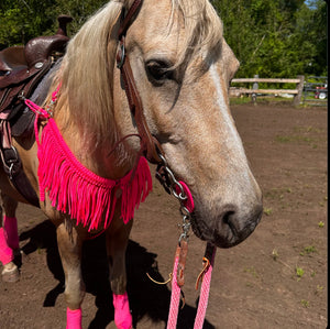 fringe breast collar neon hot pink