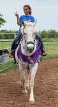 Purple fringe breast collar