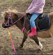 Pony Set-  hot pink turquoise and lilac.