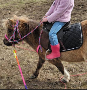 Pony Set-  hot pink turquoise and lilac.