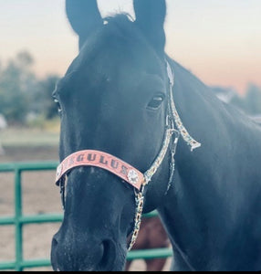 PERSONALIZED Cow print nylon horse halter