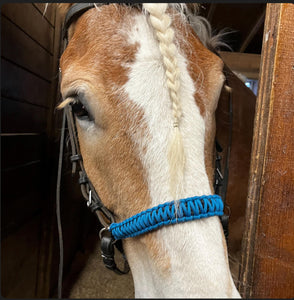 Royal blue side pull hackamore  bitless attachment.... with black or  brown chinstrap...all sizes