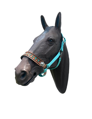 PERSONALIZED   nylon horse halter turquoise