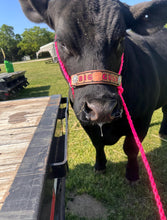 Personalized cow halter large cow or mini cow size hot pink