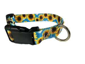 Blue sunflower Nylon dog collar