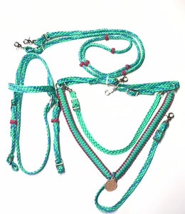 horse tack set,  (breast collar, barrel reins, and browband bridle)