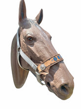 PERSONALIZED   nylon horse halter silver grey.