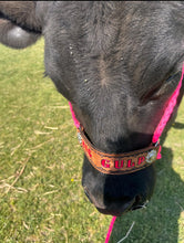 Personalized cow halter large cow or mini cow size hot pink