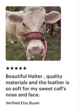 Personalized COW  halter large cow or mini cow size hot pink