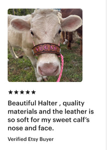 Personalized COW  halter large cow or mini cow size hot pink